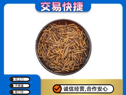庆阳回收散虫草
